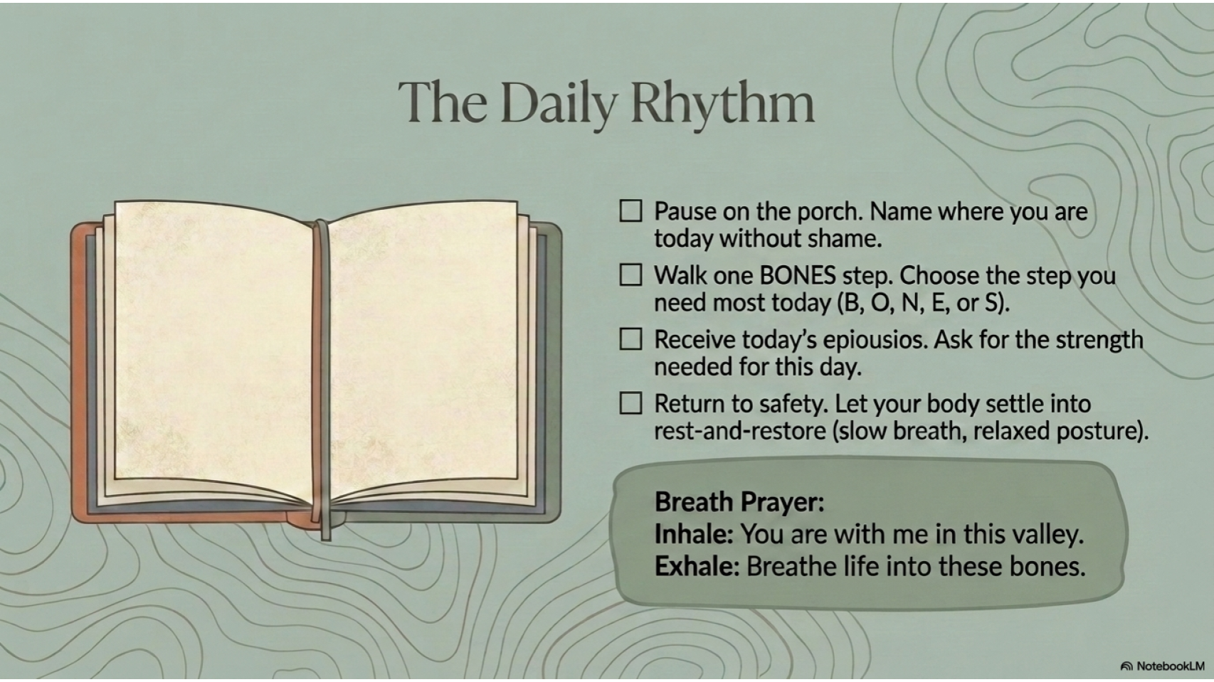 The Daily Rhythm